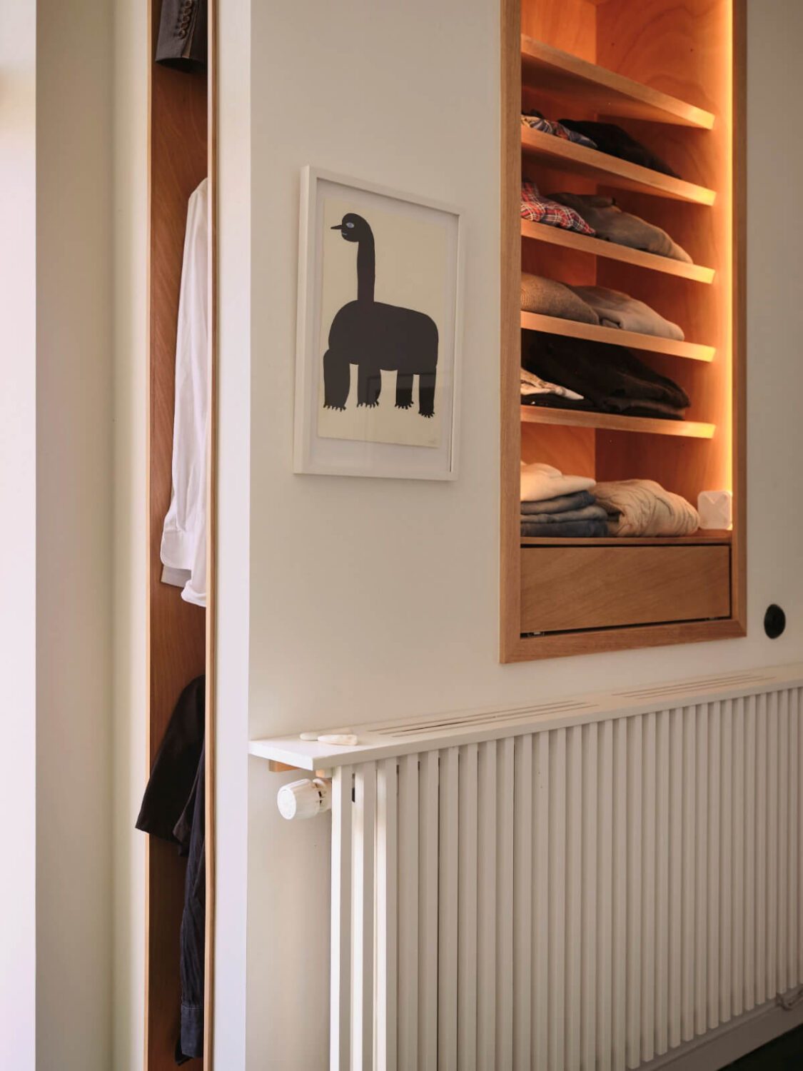 built-in clothes storage