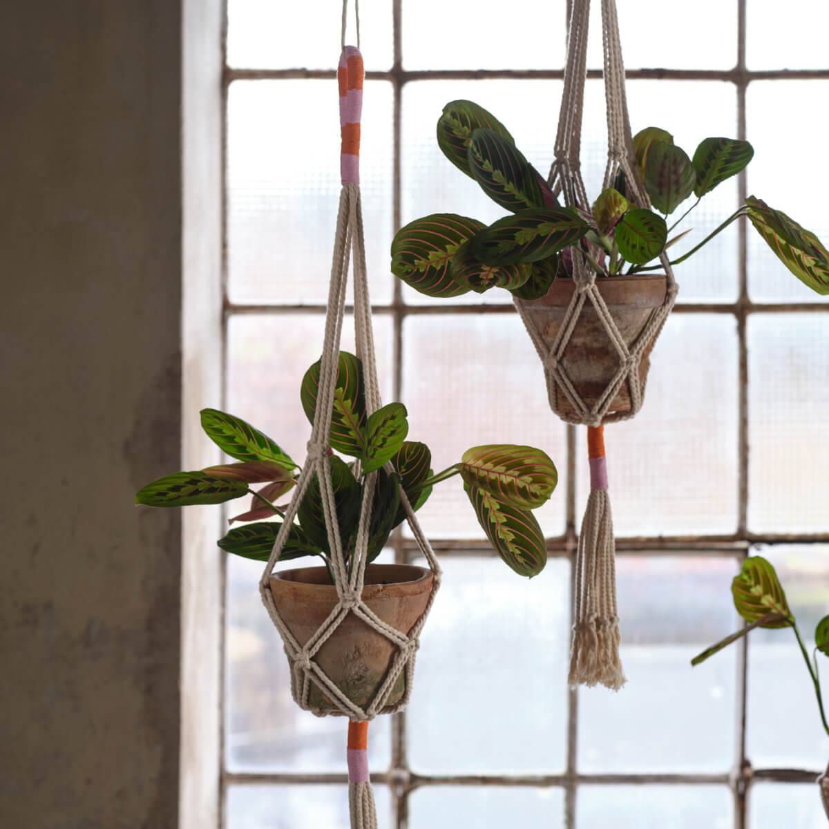 hanging-planters-ikea-mavinn-collection-part-3-nordroom.jpg
