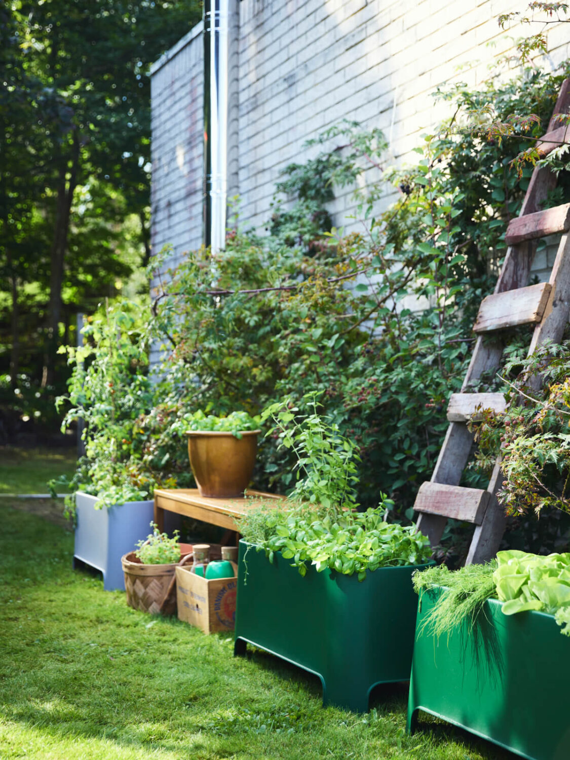 IKEA ASPAREN kruka PH202127 New IKEA Balcony and Garden Inspiration for Summer 2025
