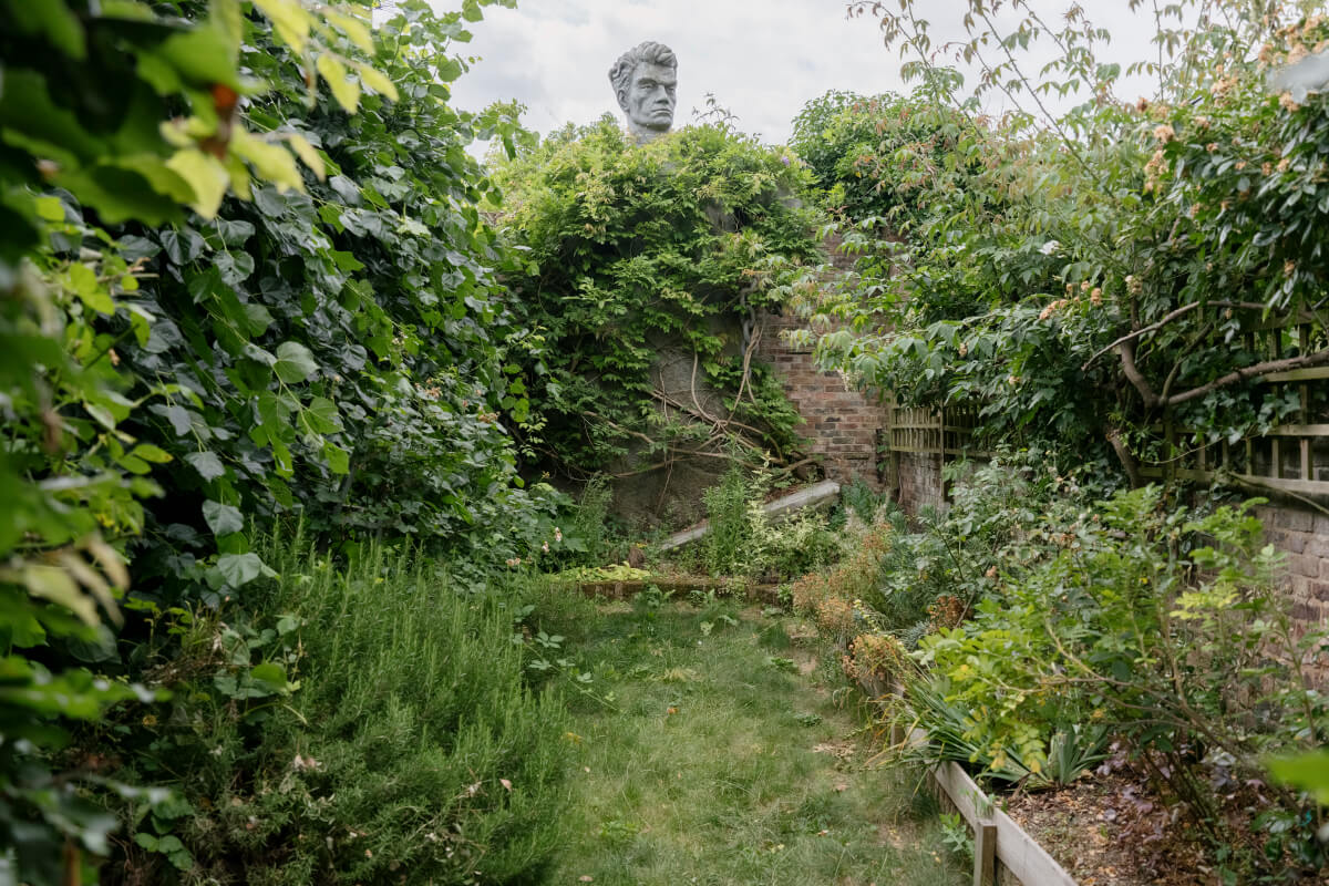 lush green garden
