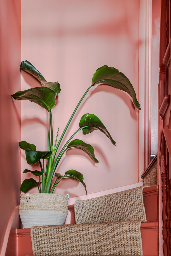 pink stairs
