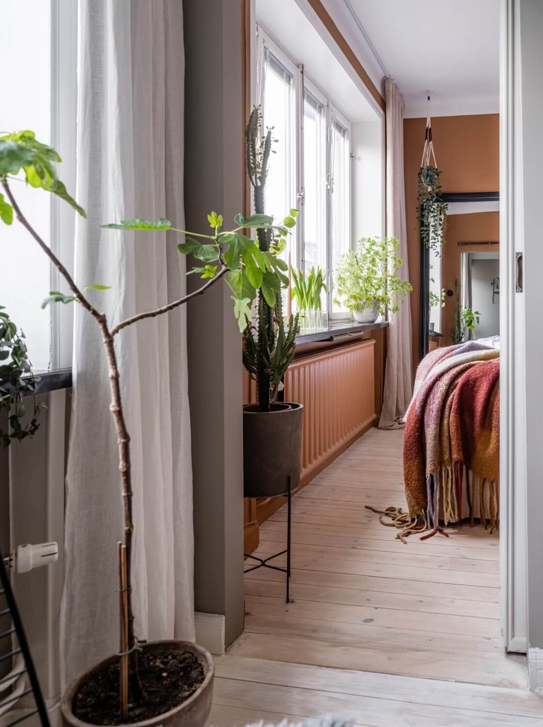 small-apartment-earthy-bedroom-color-ordroom