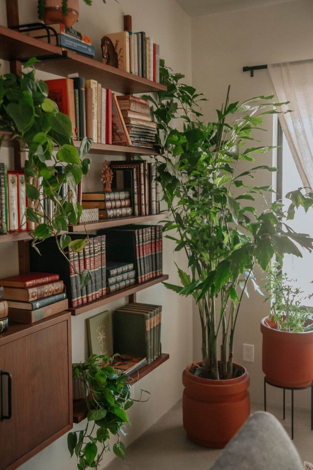 wall-mounted-bookshelves-plants