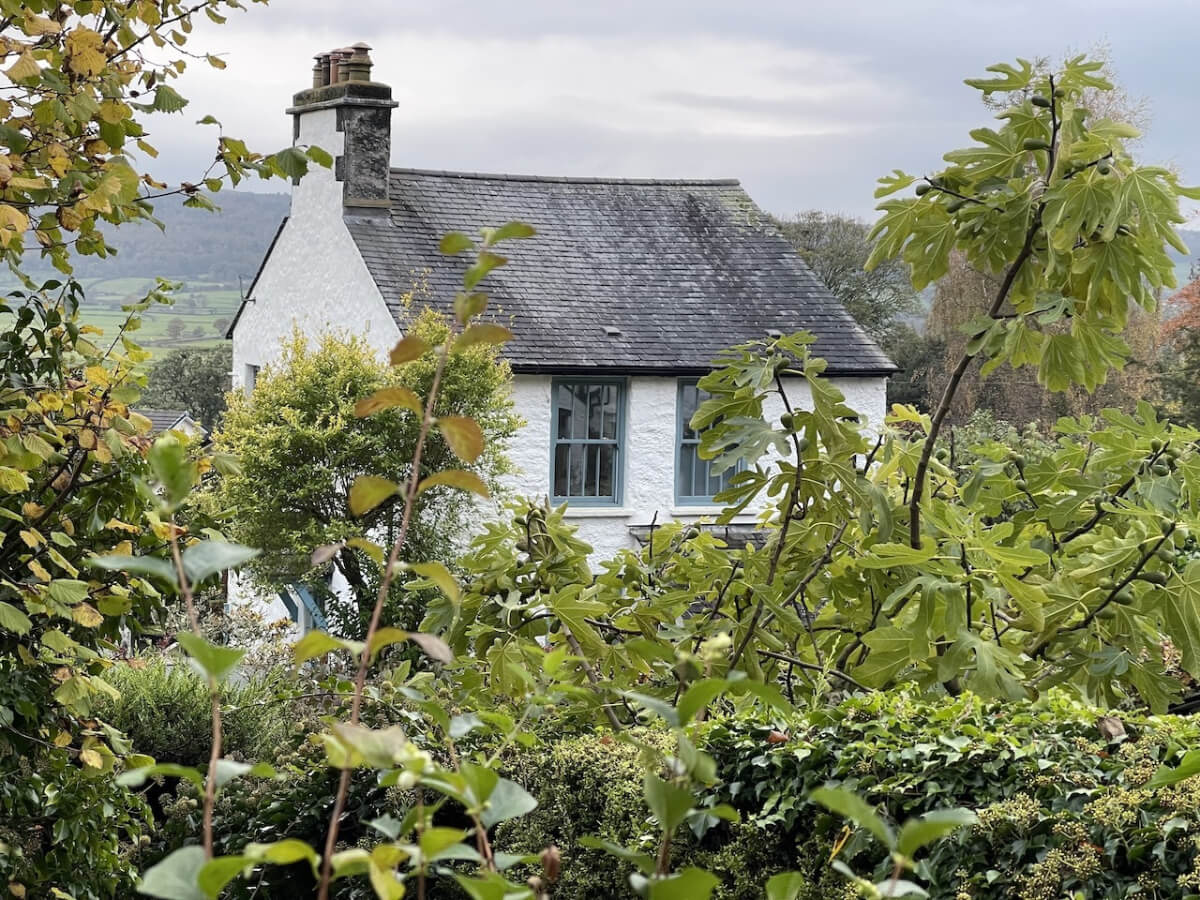white english cottage blue window frames