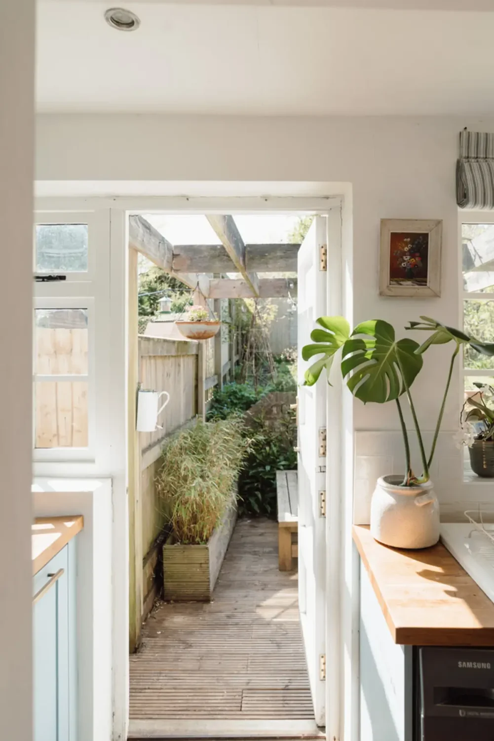 view into garden
